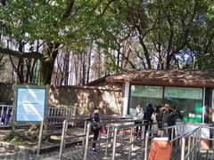 -共青国家森林公园-南大门停车场