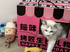 -烤匠麻辣烤鱼(观音桥大融城店)