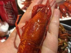 -红钳侠小龙虾·烧烤(中赢康康谷店)