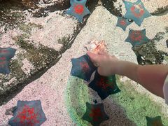 -沈阳海洋探索中心