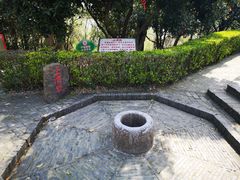 -上海佘山国家森林公园天马山园