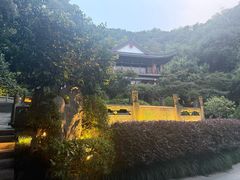 -十八棵（老龙井）御茶园(老龙井店)