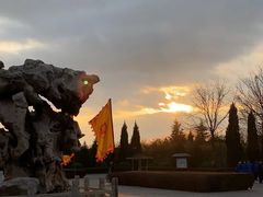 -大槐树寻根祭祖园