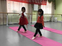 -舞蕾舞蹈·专注中国舞18年(天通苑中心校区)
