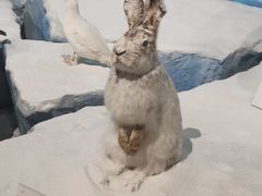 -陕西自然博物馆