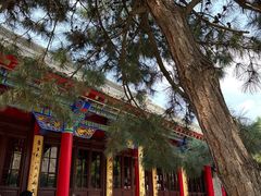 -慈恩寺