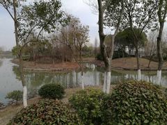 -尚贤河湿地