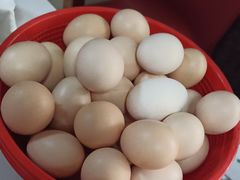 -周震馄饨