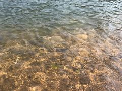 -石燕湖生态旅游景区