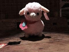 Helens&nbsp;西餐吧(红旗南路店)-Helens海伦司小酒馆(红旗南路店)