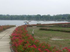 -廊坊文化艺术中心