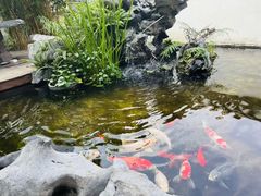 -道南書院·私房菜·早午茶·茶馆