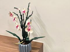 -Again Coffee Roaster(香蜜湖店)