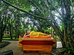 -瑞丽独树成林风景区