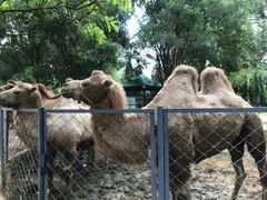 -长白岛森林公园