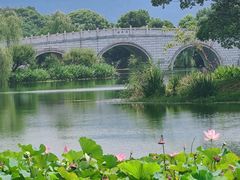 -尚湖风景区