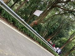 -广州市石门国家森林公园
