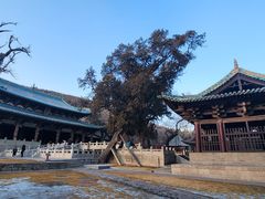 -晋祠公园