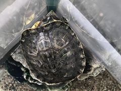 -三旗百汇商品城