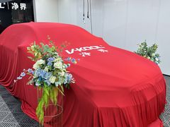 -威固7V汽车贴膜改色·净界(广州旗舰店)