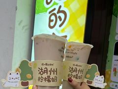 -猫的魔法密林(衣裳街店)