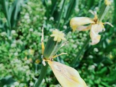 -长春公园(普阳街道)