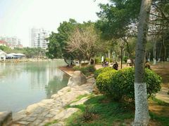android_upload_pic-江头公园