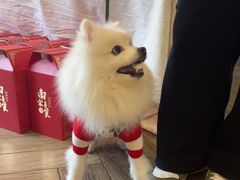 -春暖花开(西溪店)