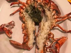 -RED LOBSTER(环球影城大阪店)