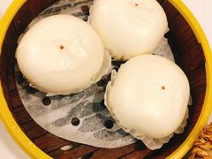 -火齐潮汕砂锅粥(五道口店)