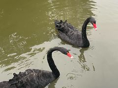 -五台山南京工业大学游泳馆(江浦馆)