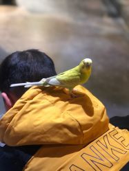 -酷嗒动物文化乐园(cutezoo西溪乐天城店)