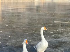-静之湖度假区