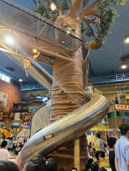 -卡通尼·Safari非洲探索乐园·生日会(金桥国际商业广场店)