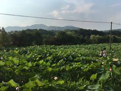 景点-韶山毛泽东同志故居