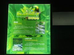 -重庆欢乐海底世界