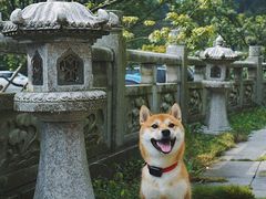 -径山寺