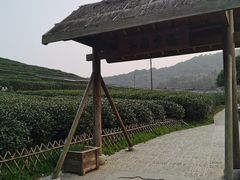 -听风阁农家私房菜茶楼(龙坞店)