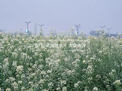 -中国天府农业博览园