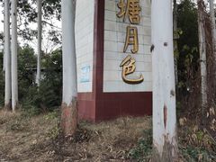 -三圣花乡旅游区