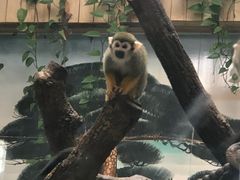 -西安秦岭野生动物园