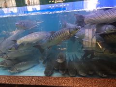 -淘米捞·米汤脆鲩鱼火锅(福田皇岗店)