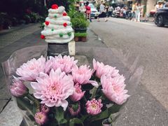 -溪岸路花鸟市场