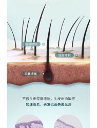 -Bollins波林丝•专研护发中心