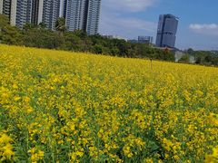 -光明小镇欢乐田园