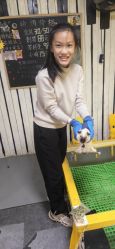 -神奇动物撸宠馆·羊驼·小浣熊·异宠(豫园店)