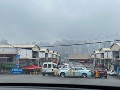 -菜园坝水果市场