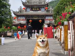 -崇州市街子古镇
