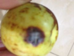 -江杨农产品批发市场