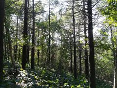 -白草畔自然风景区